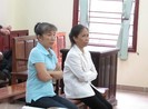 Tinh vi thế chấp giấy đỏ... scan màu 'hốt' hàng tỉ đồng