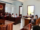 Hoãn phúc thẩm vụ ca sĩ Nhật Kim Anh giành quyền nuôi con