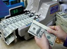 Tỉ giá USD trồi sụt thất thường