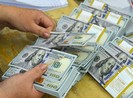 Giá USD tuột dốc không phanh