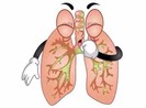Đoán bệnh qua màu sắc của đờm
