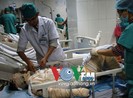 Nhảy vào biển lửa cứu con, người mẹ bị bỏng nguy kịch