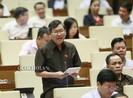 Bảo vệ công dân VN lao động ở nước ngoài: Cần toàn diện hơn