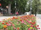 Công trình lát đá vỉa hè, chỉnh trang Hồ Gươm sắp về đích