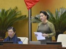 9 nhiệm vụ cho Chính phủ và các bộ ngành sau phiên chất vấn