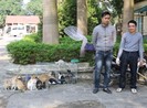 Hình sự mật phục bắt nhóm chuyên trộm mèo