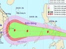 Sẽ có 10-12 cơn bão, áp thấp nhiệt đới trong năm 2019
