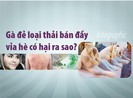 Thịt gà đẻ loại thải bán đầy vỉa hè có hại ra sao?