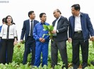 Thủ tướng 'xông đất' ngành nông nghiệp năm Kỷ Hợi