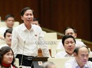 'Đại biểu Quốc hội xếp hàng gì trong hệ thống cán bộ?'