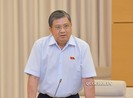 'Mức phạt môi giới nhập cảnh trái phép vào Việt Nam quá nhẹ'