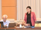Đề nghị Chính phủ báo cáo về 'lợi ích nhóm', 'sân sau'