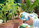 Ngày hội Tái chế chất thải lần 7 - 2014: Xếp hàng đổi rác… lấy quà