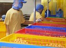 Cấp giấy VSATTP chặt chẽ hơn!