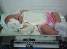 Bé trai bị bỏ dưới gốc cây