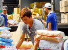 Giá xăng giảm lắt nhắt, cước vận tải khó hạ