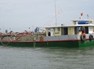 Bắt giữ năm sà lan cát tặc trên biển Cần Giờ