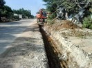 Đào vỉa hè ẩu, phải đốn cây hàng loạt