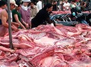 Kiểm tra xong, heo bẩn đã vô... bụng