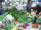 Mạnh tay với thực phẩm bẩn