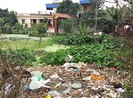 Trưởng thôn tự ý bán đấu giá đất của dân