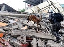 Vì sao động đất mạnh ở Nhật và Ecuador?