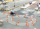 Lên đời giấy phép con thành nghị định