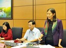 Đề nghị xem lại việc bồi thường cho ông Nén