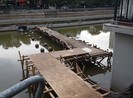 Hủy dự án nhạc nước giống lồng nuôi cá