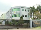 Đại gia cá tra biệt tích, nông dân tá hỏa