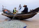 Ám ảnh tàu giã cào trên biển Quảng Trị
