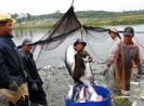 Phải dẹp tình trạng quy hoạch chồng chéo ở ĐBSCL
