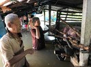 Vỡ bờ bao sông Hậu, nhà dân chìm trong nước