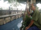 Đáng sợ con kênh đổi màu như cầu vòng