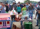 Hạ nhiệt BOT: Không thể chậm trễ!