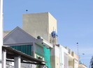Vẫn rối vụ chim yến ‘ị’ nóc nhà hàng xóm