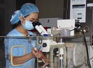 Hơn 40.000 thiên thần chào đời từ ống nghiệm