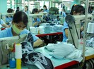 Coi chừng người Việt lại rủ nhau… giải cứu bò Mỹ!