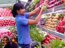 Hệ lụy từ ‘kỳ tích’ xuất khẩu trái cây… ảo
