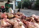 Bộ Y tế quy định về hướng xử lý đối với thực phẩm bẩn