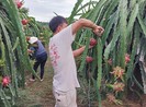 Tham tán thương mại Trung Quốc nói gì về hàng Việt?