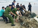 Miền Trung sắp hứng đợt lũ mới