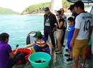 Nở rộ tour du lịch Tết sang chảnh, ‘độc, lạ’
