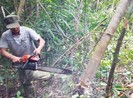 UBKT Trung ương xử lý vụ sai phạm rừng Phú Yên