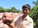 Heo đất Bình Dương ùn ùn xuất xưởng đón Tết