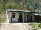 Băn khoăn trong chuyện thưởng nóng vụ cô gái giao gà
