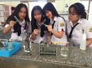 Thí nghiệm tại trường: Dễ sự cố nếu bất cẩn