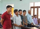 Lý giải của Tòa Cấp cao Đà Nẵng về vụ cưa gỗ khô