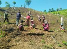 Nhà thầu chậm trễ trồng rừng cho cao tốc Bến Lức-Long Thành