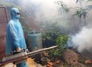 Lo ngại bùng phát dịch sốt xuất huyết diện rộng